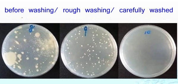petri dish